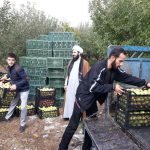 شورای زکات شهرستان دماوند (1)