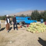 شورای زکات شهرستان دماوند (1)