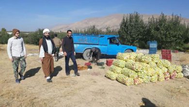 شورای زکات شهرستان دماوند (1)