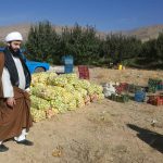 شورای زکات شهرستان دماوند (1)