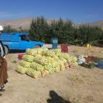 شورای زکات شهرستان دماوند (1)