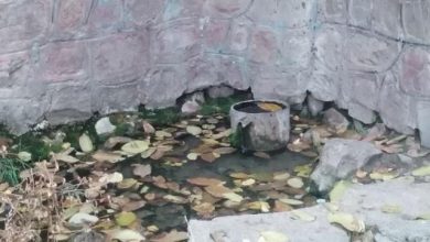 چشمه آب ترش و آب شور روستای زان در آبسرد (2)