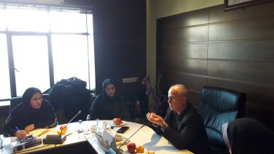 نشست مدیرکل تعاون، کار و رفاه اجتماعی استان تهران با مسئولان دماوند