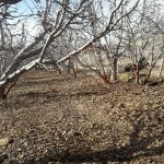 تولید کننده محصولات کشاورزی سالم در دماوند