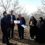 تولید کننده محصولات کشاورزی سالم در دماوند
