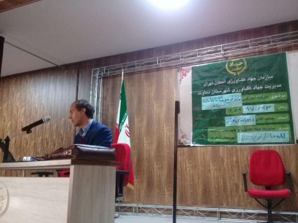کارگاه آموزشی و ترویجی تربیت پیوند کار سرشاخه گردو در دماوند (1)