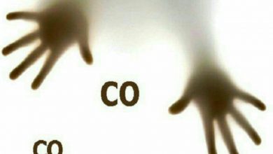 سمومیت با گاز CO2 در منطقه هومند وادان و شهر آبسرد