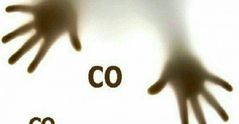 سمومیت با گاز CO2 در منطقه هومند وادان و شهر آبسرد