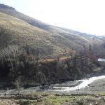 کوچه نیل روح افزا دماوند