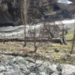کوچه نیل روح افزا دماوند