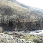 کوچه نیل روح افزا دماوند