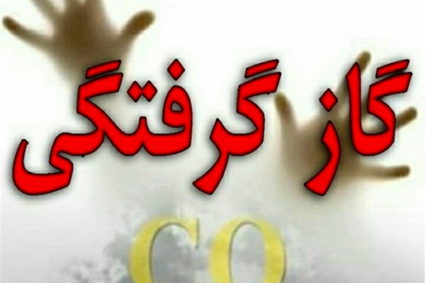 2 کارگر تبعه افغانستانی در روستای محمودیه دماوند قربانی گاز گرفتگی شدند