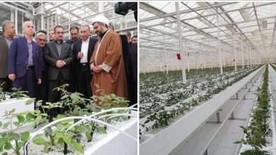 افتتاح گلخانه هیدروپونیک درویش پایا
