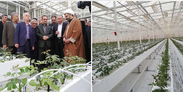 افتتاح گلخانه هیدروپونیک درویش پایا