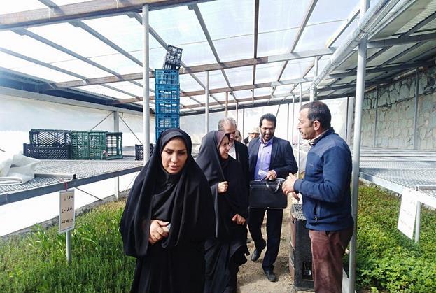 روستاهای بخش رودهن و بخش مرکزی دماوند (1)