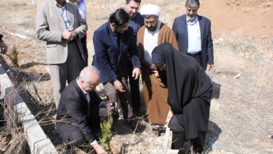 آیین کاشت بیش از 200 اصله نهال در دانشگاه پیام نور مرکز دماوند (1)