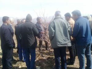 تشکیل کانون یادگیری و آموزش کشاورزی در دماوند (5)