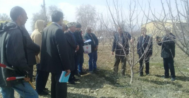 تشکیل کانون یادگیری و آموزش کشاورزی در دماوند (5)