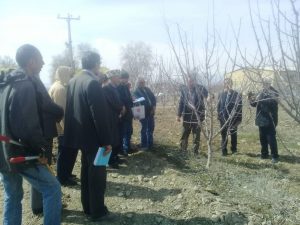 تشکیل کانون یادگیری و آموزش کشاورزی در دماوند (5)