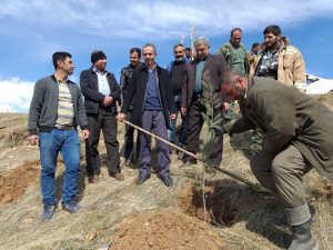 غرس بیش از 100 اصله نهال در ۱۰ هکتار از اراضی چشمه اعلا شهر دماوند (1)