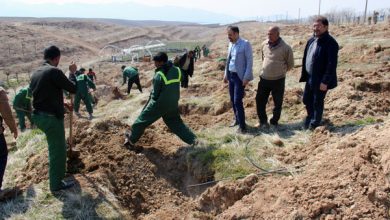 مزرعه کولیک در دانشگاه آزاد رودهن (1)