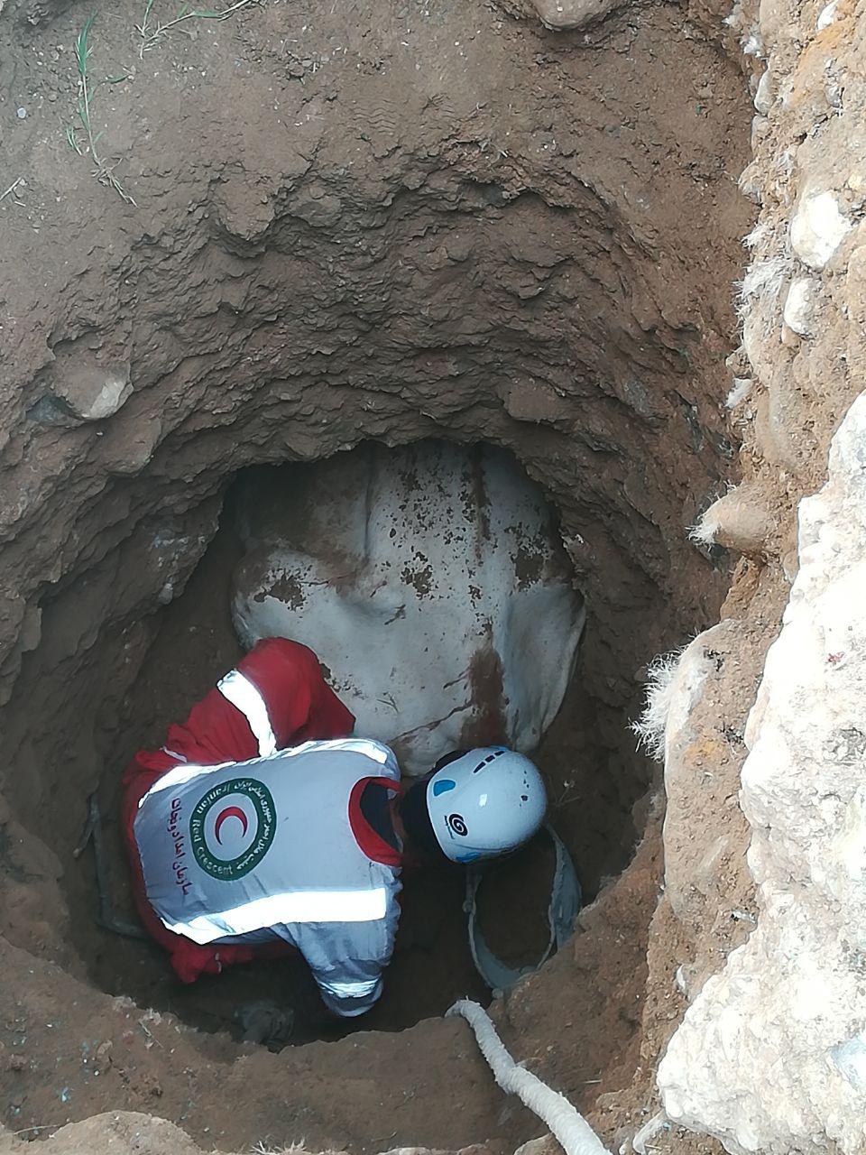 سقوط یک راس گاو به داخل چاه ۵ متری در روستای کالدشتپایین دماوند (3)