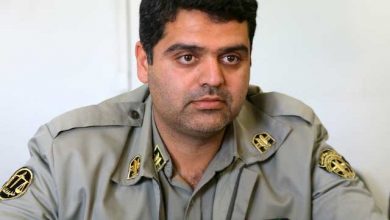 برداشت غیر کارشناسی گونه‌های گیاهی دماوند در فصل بهار