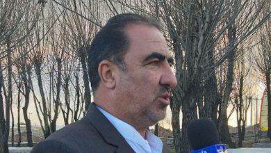 رضا میرزاکریمی رئیس اتاق اصناف شهرستان دماوند 