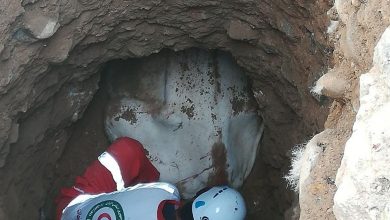 سقوط یک راس گاو به داخل چاه‌ ۵ متری در روستای کالدشت‌پایین دماوند (3)