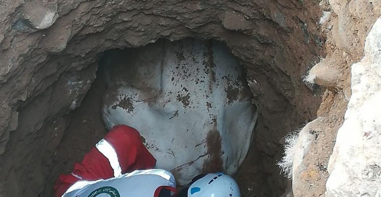 سقوط یک راس گاو به داخل چاه‌ ۵ متری در روستای کالدشت‌پایین دماوند (3)
