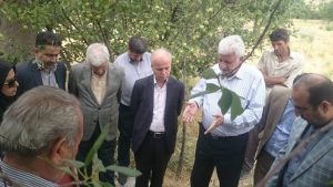 بازدید کارگروه رونق تولید از دامداری پرواری قرایی در روستای اوزن‌دره دماوند (1)