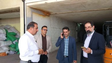 کشف ۳۰۰ تن رب گوجه فرنگی فاسد و مواد کنسانتره مشکوک به قاچاق از سردخانه‌‌ای در دماوند (1)