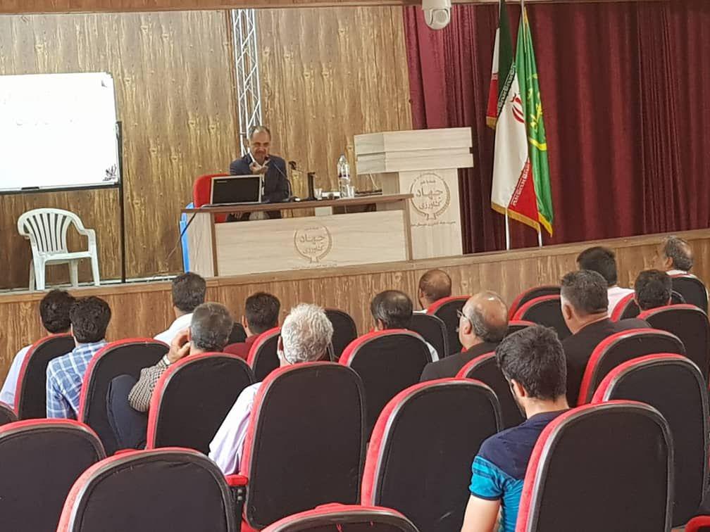 برگزاری کارگاه آموزشی پرورش گوسفندان پربازده در دماوند (1)