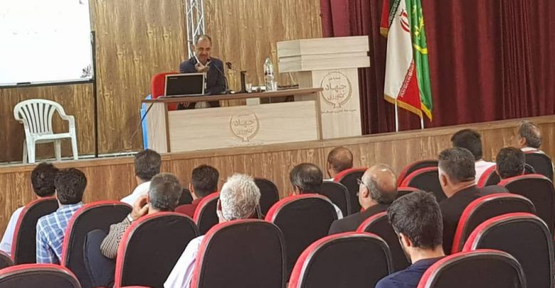 برگزاری کارگاه آموزشی پرورش گوسفندان پربازده در دماوند (1)