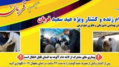 مراکز عرضه دام در دماوند و پردیس به مناسبت عید قربان