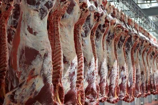 کاهش قیمت 30 درصدی قیمت گوشت قرمز در دماوند